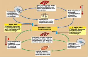 Life-Threatening symptom