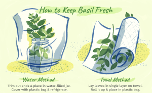 Basil leaves for prevention from flu