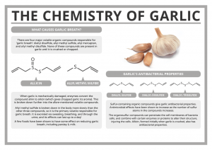 Garlic benefits for stuff and runny nose 