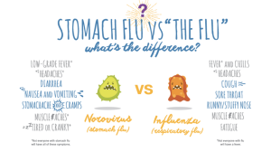 stomach flu and flu difference for health 