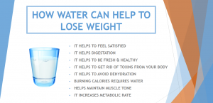 Water Can Help  to Lose Weight