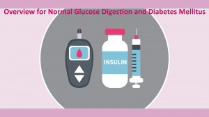 Normal Glucose Digestion and Diabetes Mellitus