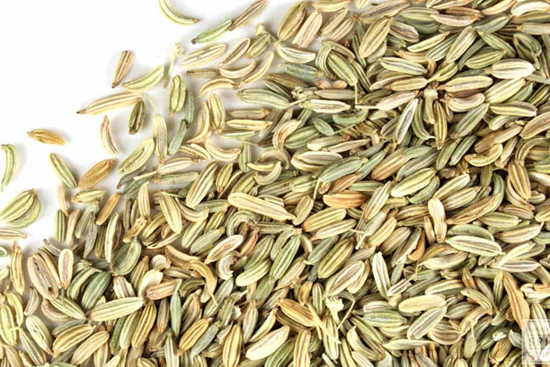 Fennel Seed