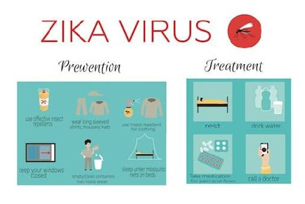 Zika Virus What Everyone Needs To Know Fitness Health Forever 7247