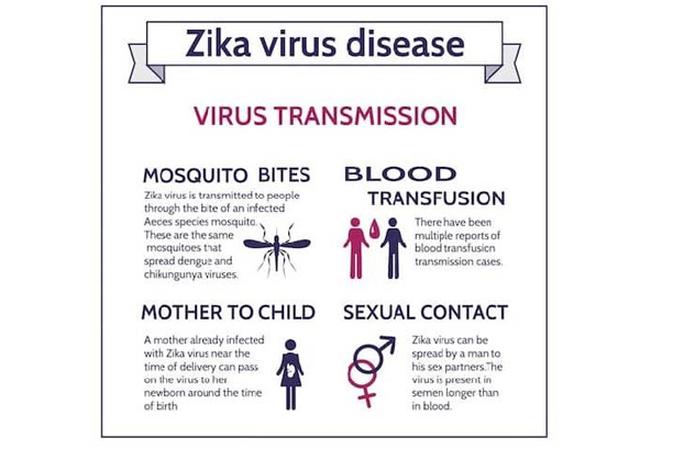 Zika Virus What Everyone Needs To Know Fitness Health Forever