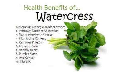 Watercress And It's Amazing Benefits! - Fitness Health Forever