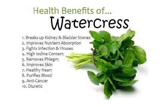 Watercress And It's Amazing Benefits! - Fitness Health Forever