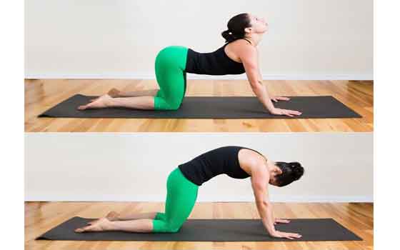 Upper Back Pain- Best Yoga Poses To Reduce Upper Back Pain