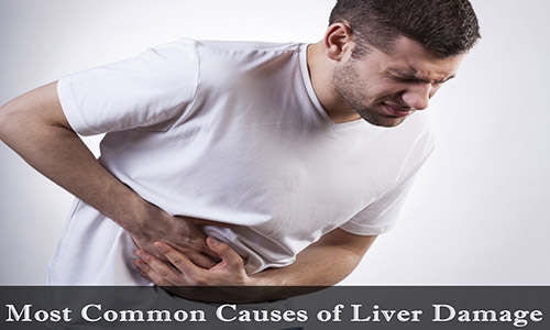 Signs of Liver Damage That You should Never Ignore- Health