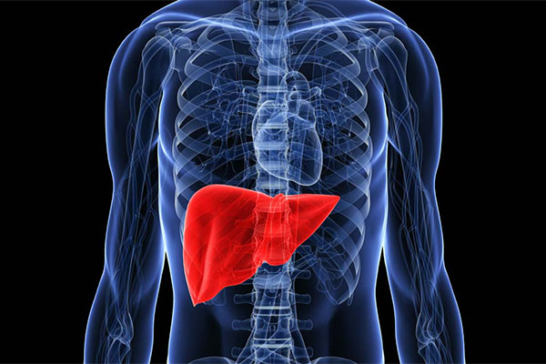 Clean Your Liver- How to cleanse your liver and kidneys