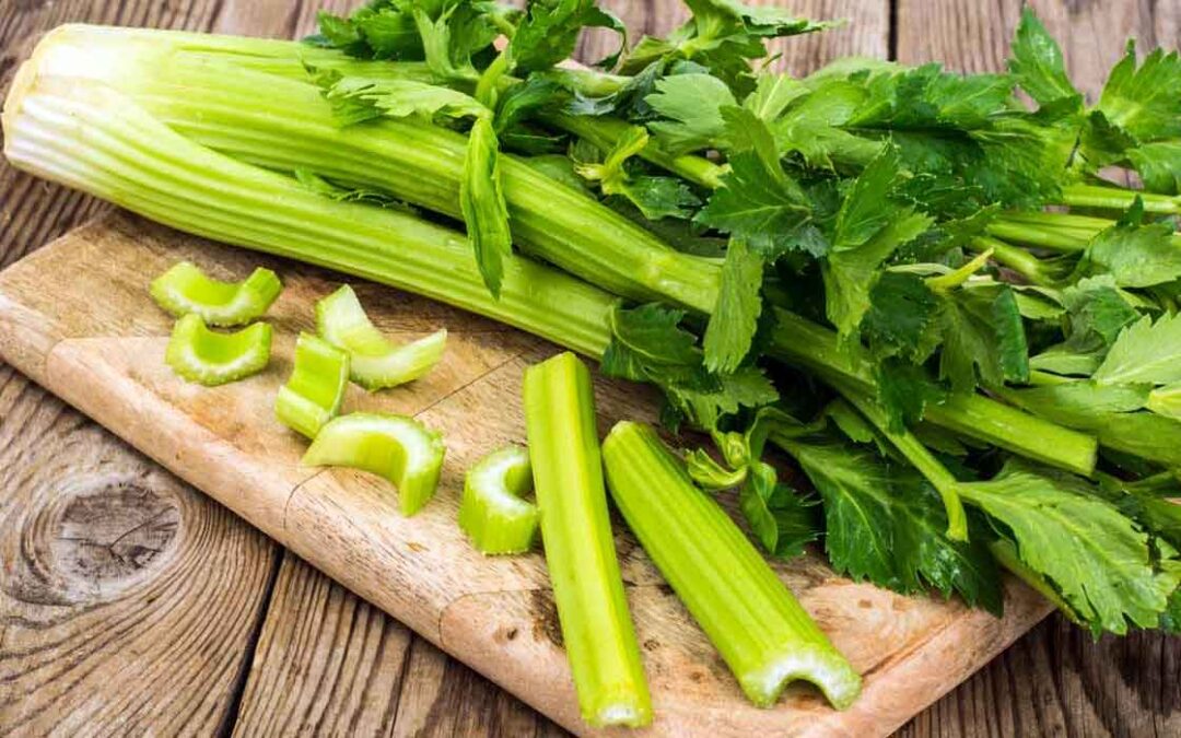 Celery Nutrition Facts Benefits Fitnesshealthforever